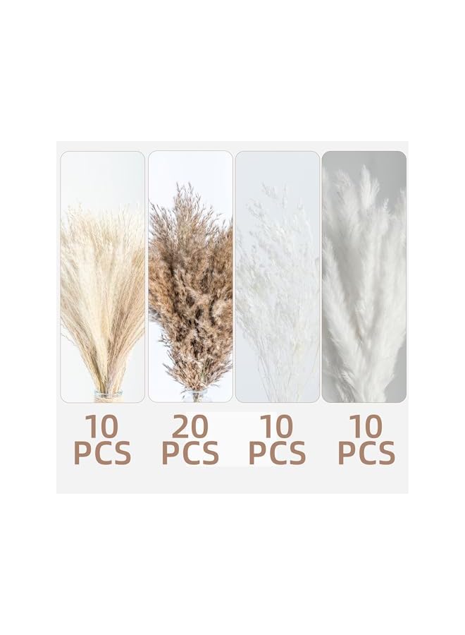 The Bros 50 Pcs Pampas Grass Decor – White Dried Fluffy Pompas Grass Vase Filler, Boho Wedding & Home Table Decor, Rustic Farmhouse Style - Image 4