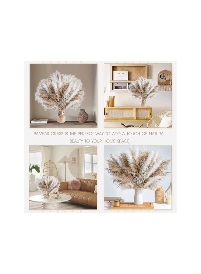 The Bros 50 Pcs Pampas Grass Decor – White Dried Fluffy Pompas Grass Vase Filler, Boho Wedding & Home Table Decor, Rustic Farmhouse Style - Image 3
