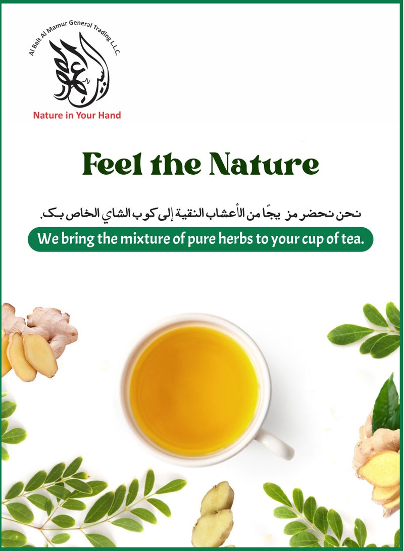AL Bait AL Mamur Moringa & Ginger Herbal Tea – 25 Tea Bags Natural Digestive & Detox Support – 100% Caffeine-Free – All-Natural, Vegan & Halal Certified.  - Image 3