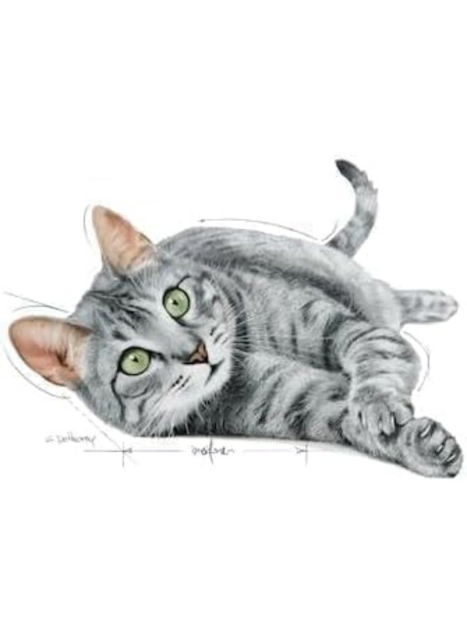 Royal Canin Indoor Sterilised Jelly Cat Wet Food Pouch - Image 5