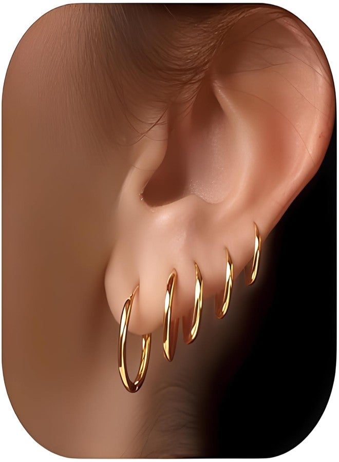 Flavizo 5 Pairs Hoop Earrings for Women, Golden Hoop Earring Set with Sizes 6mm/8mm/10mm/12mm/14mm, Small Hoops Earrings for Women - Image 1