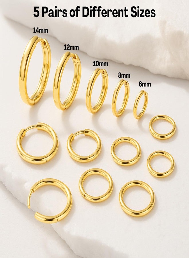 Flavizo 5 Pairs Hoop Earrings for Women, Golden Hoop Earring Set with Sizes 6mm/8mm/10mm/12mm/14mm, Small Hoops Earrings for Women - Image 2