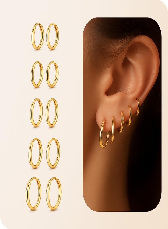 Flavizo 5 Pairs Hoop Earrings for Women, Golden Hoop Earring Set with Sizes 6mm/8mm/10mm/12mm/14mm, Small Hoops Earrings for Women - Image 3