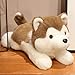 GracesDawn Stuffed AnimalsDog 118Super Soft Husky Doll Cartoon Cute Dog Plush Toys Ideal Gift for Kids Light Brown - Image 4