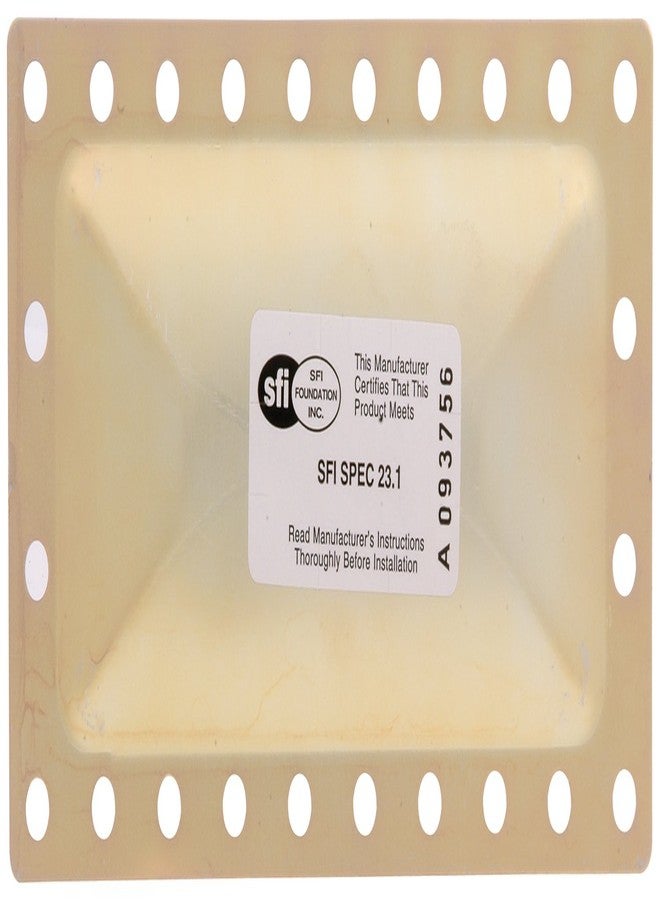 Allstar Performance ALL26310 Replacement Burst Panel - Image 1