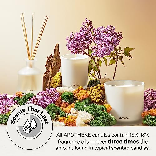 Apotheke Signature Scented Candles for Home, Charcoal - 10.5 oz - Soy Wax, Non Toxic, Large Jar Black - Luxury Candle Gifts for Women & Men - Cedarwood, Sandalwood, Oud, and Amber - Image 5