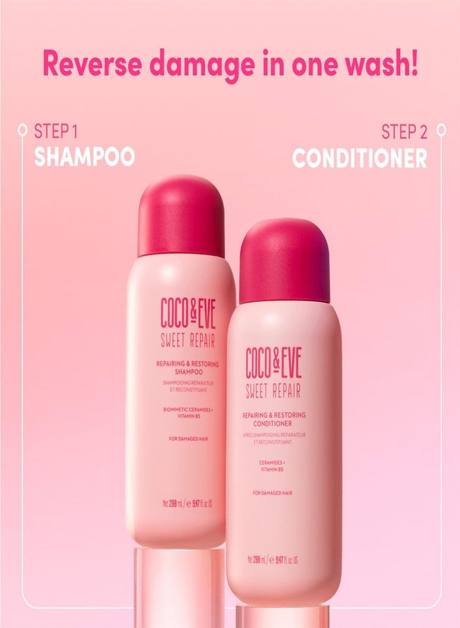 Coco & Eve Repairing & Restoring Shampoo for Damaged, Color Treated Hair - With Biomimetic Ceramides, Vitamin B5 to Repair Breakage, Split Ends, Strengthen and Hydrate. For All Hair Types (9.47 Fl Oz) - Image 5
