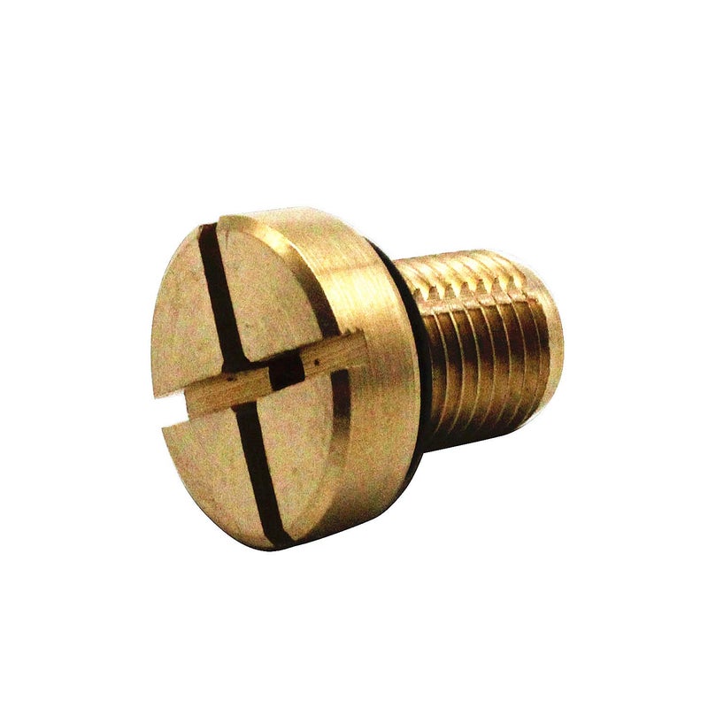 Coolant Expansion Tank Bleeder Screw