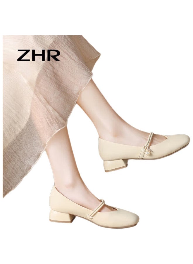 ZHR Mary Jane Shoes Women Retro Shallow Mouth Single Shoes Women Elegant Sweet Chunky Heel Square Head Women'S Shoes Cg71 Beige Size 40 - Image 1