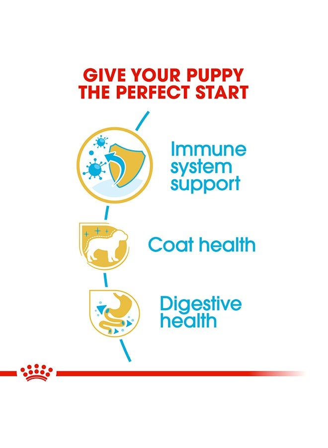 ROYAL CANIN Breed Health Nutrition Poodle Puppy - 3 KG - Image 3