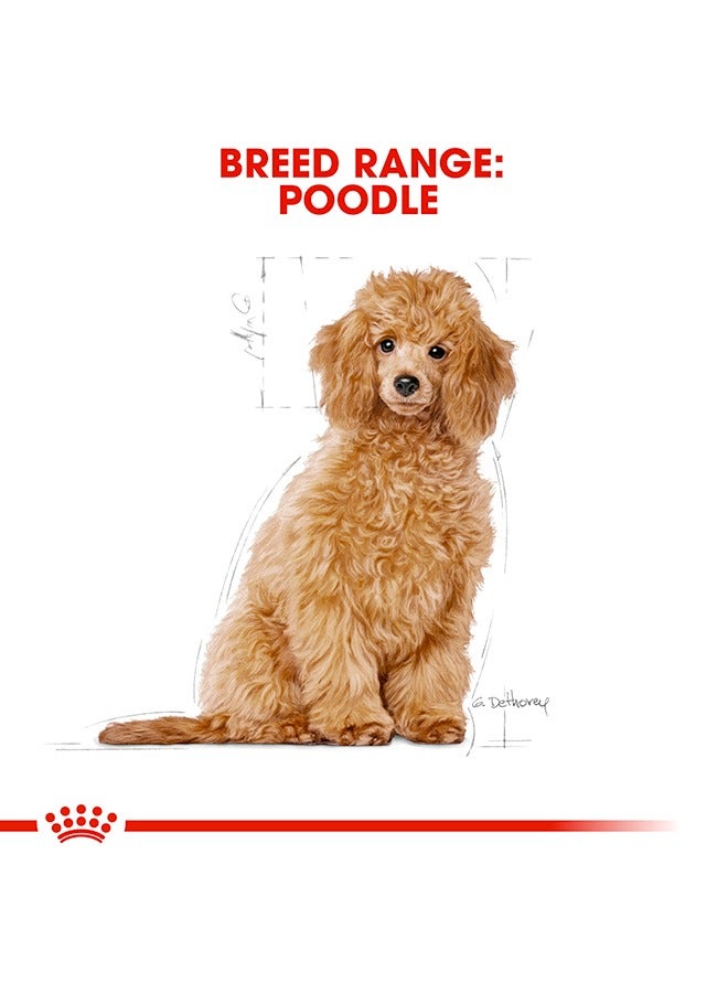ROYAL CANIN Breed Health Nutrition Poodle Puppy - 3 KG - Image 4