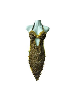 Belly dance costume