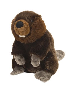 Beaver Plush, Stuffed Animal, Plush Toy, Gifts For Kids, Cuddlekins 8 Inches,Multi - pzsku/Z24B90E9664FAD3525940Z/45/_/1733729816/d568f86b-5435-481b-8da5-b850748ccfc5