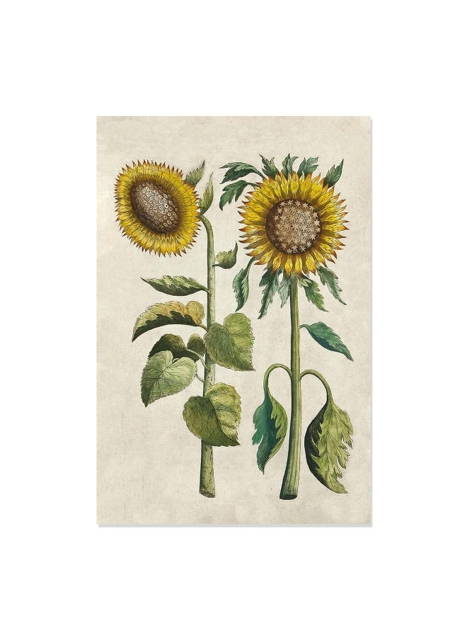 null - Sunflowers - 12 Blank Note Cards: 12 Blank Cards in 6 Designs with 12 Envelopes in a Keepsake Box - Image 1