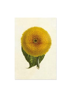 Sunflowers - 12 Blank Note Cards: 12 Blank Cards in 6 Designs with 12 Envelopes in a Keepsake Box  - Image 5