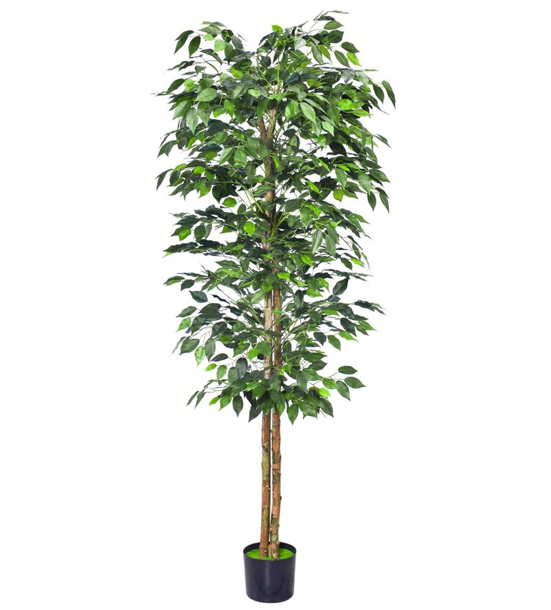 HAIHONG 1Pack 6FT Artificial Ficus Tree with Realistic Leaves and Natural Trunk Faux Ficus Tree with Sturdy Plastic Nursery Pot Fake Ficus Tree for Office Home Farmhouse for Indoor Outdoor Decor