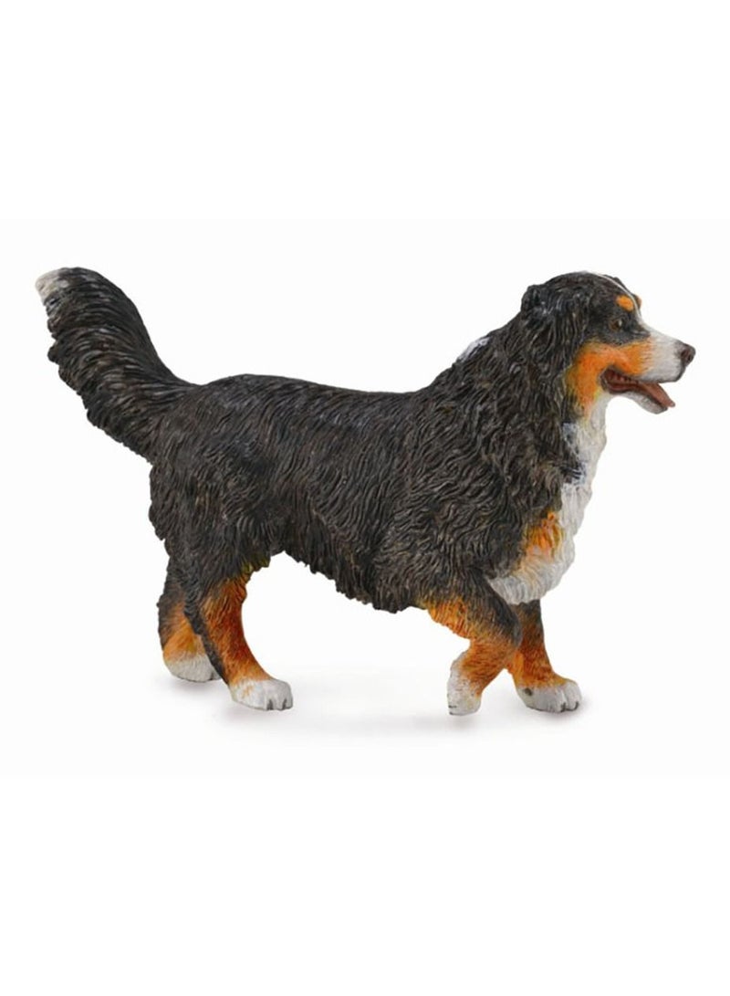 Collecta – Bernese Mountain Dog – 88801