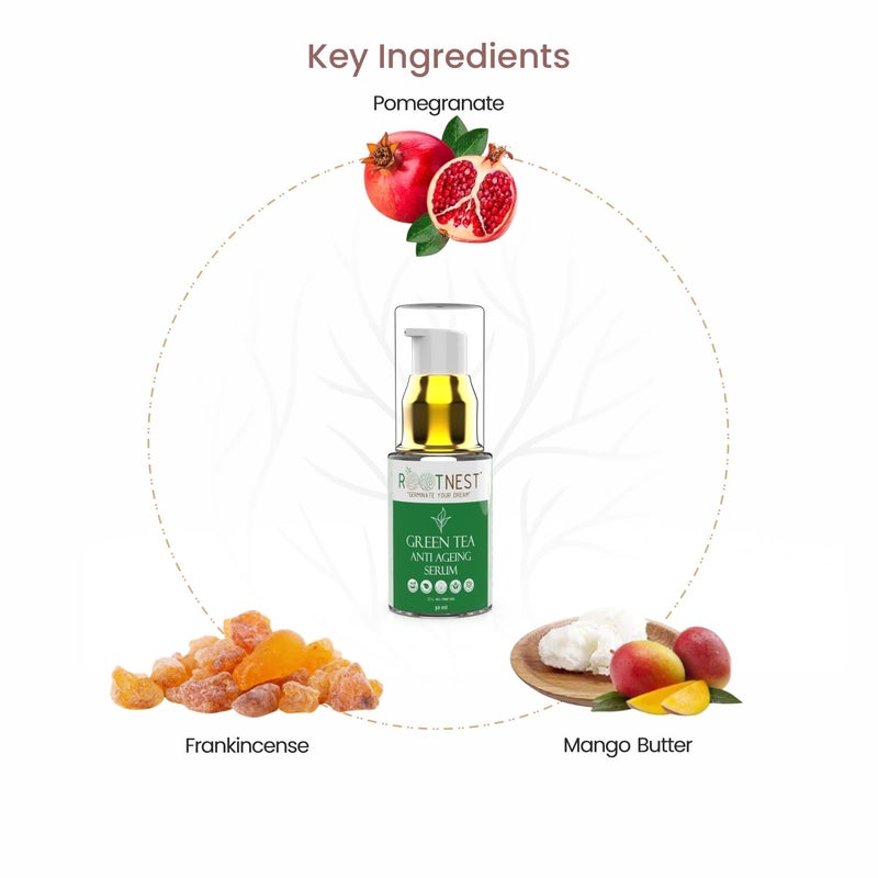 Rootnest Skin care kit with Mango Under Eye Serum Green Tea Anti Ageing Serum for face Anti Stretch Marks Serum 30ml - Image 5