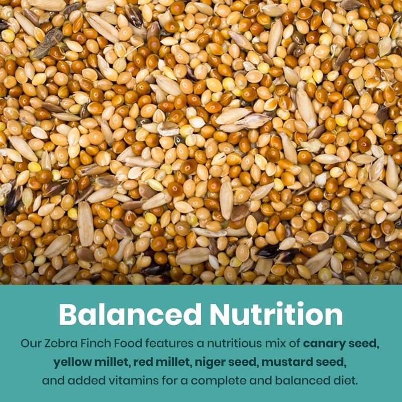 BRANDSFINITY Premium Bird Feed For Zebra Finch - Image 2