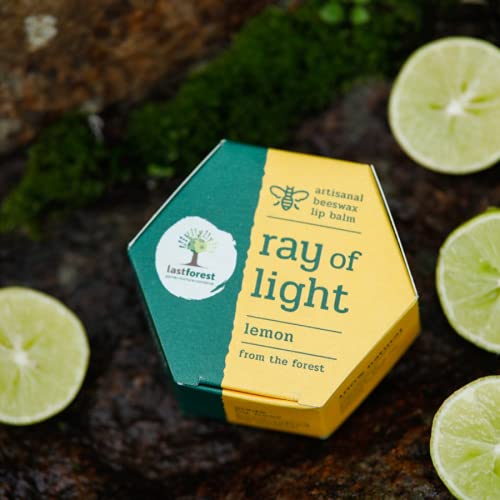 Last Forest Beeswax Lip Balm for Men & Women 5g, Non-sticky, 24 Hrs Lip Moisturizer For Dry And Chapped Lips, Nourish & Protect (Lemon) - Image 4