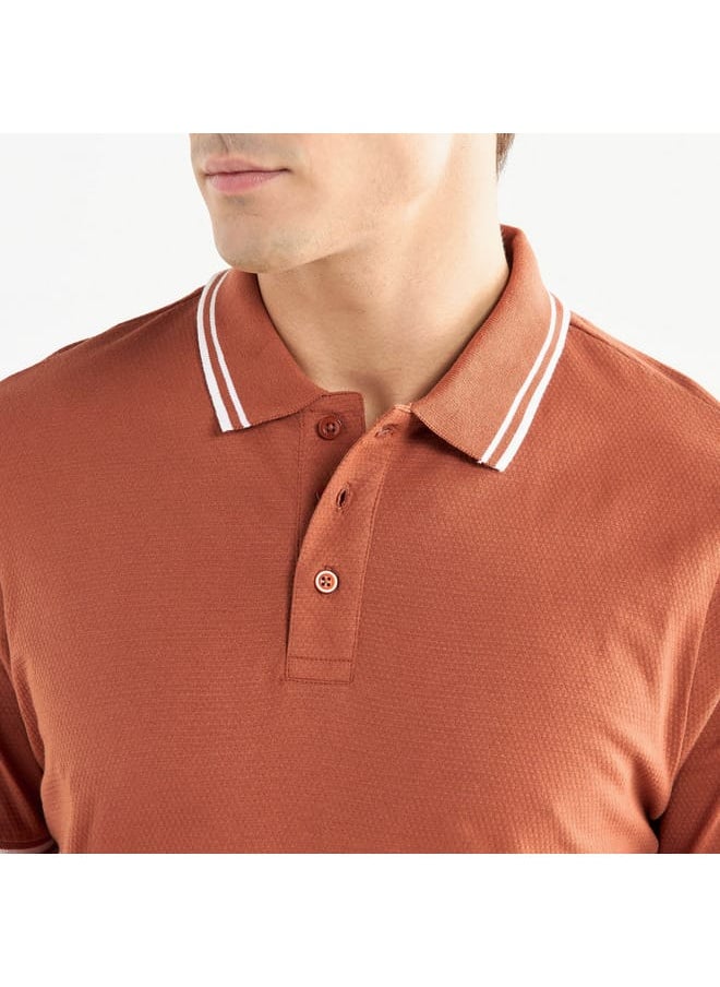 FAV Solid Polo T-shirt with Short Sleeves  - Image 4