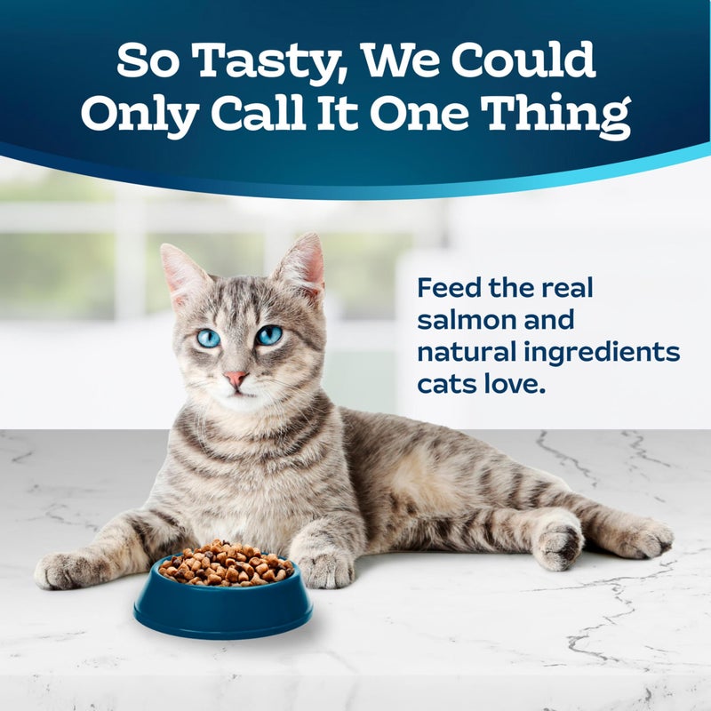 Blue Buffalo Tastefuls Natural Dry Food for Adult Indoor Cats, Salmon & Brown Rice Recipe, 3-lb. Resealable Bag - Image 3