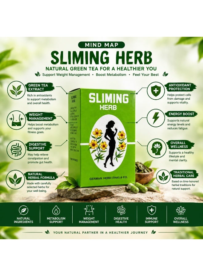 Herbal Sliming Herb Green Tea – Herbal Tea – 50 Sachets - Image 3