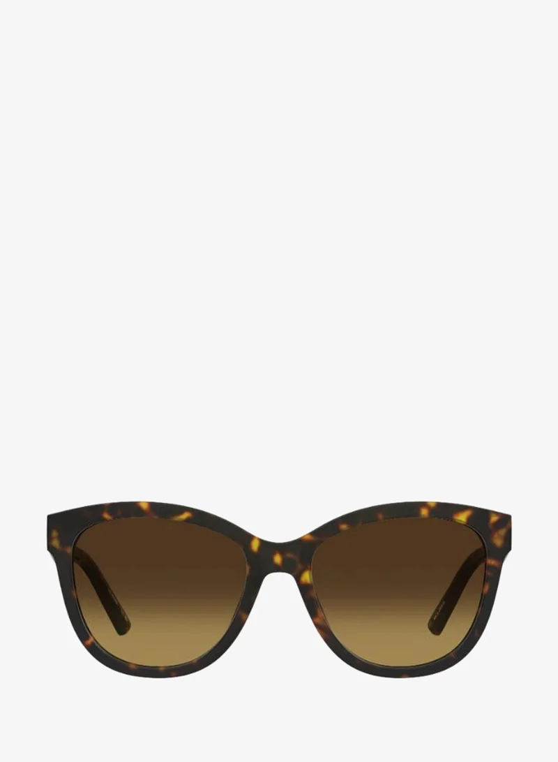 Wayfarers Sunglasses