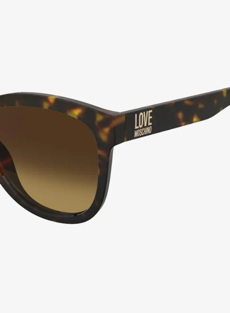 Love Moschino  Wayfarers Sunglasses for Women | Best Price UAE