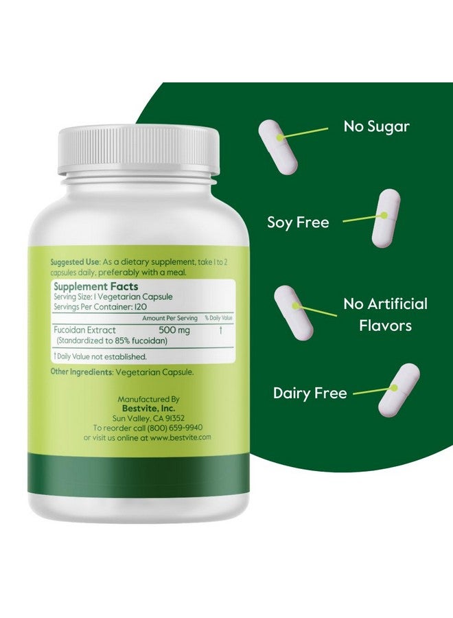 BESTVITE Fucoidan Extract 500mg (Standardized to 85% Fucoidan) (120 Vegetarian Capsules) No Fillers - No Stearates - No Flow Agents - Image 2