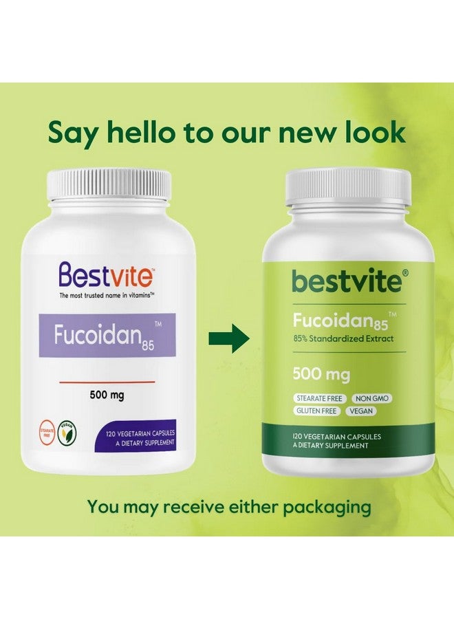BESTVITE Fucoidan Extract 500mg (Standardized to 85% Fucoidan) (120 Vegetarian Capsules) No Fillers - No Stearates - No Flow Agents - Image 3