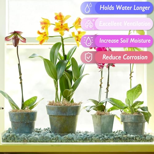 Halatool 4QT Premium Sphagnum Moss for Indoor Plants, Orchid Moss Potting Mix - Natural Sphagnum Moss for Succulents, Carnivorous(Sarracenia), Monstera, Terrarium Substrate & Reptile Habitats - Image 4