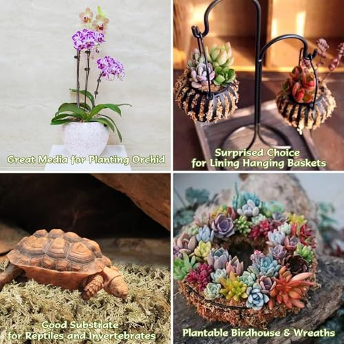 Halatool 4QT Premium Sphagnum Moss for Indoor Plants, Orchid Moss Potting Mix - Natural Sphagnum Moss for Succulents, Carnivorous(Sarracenia), Monstera, Terrarium Substrate & Reptile Habitats - Image 5
