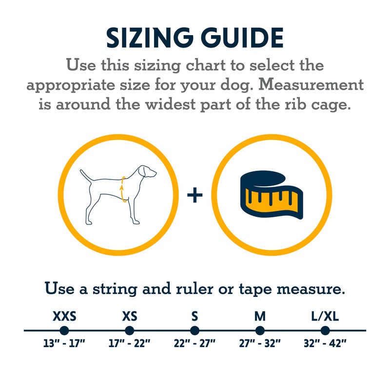 Ruffwear, Web Master, Multi-Use Support Dog Harness, Hiking and Trail Running, Service and Working, Everyday Wear, Slate Blue, XX-Small - Image 2