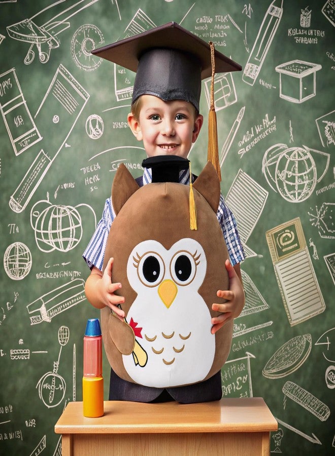OurHonor Class of 2026 18in Graduation Stuffed Animal with Cap, Fringe & Diploma, Grad Gifts for Preschool, Kindergarten, Elementary, High School(Brown Owl) - Image 5