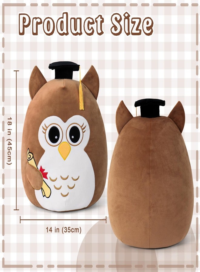 OurHonor Class of 2026 18in Graduation Stuffed Animal with Cap, Fringe & Diploma, Grad Gifts for Preschool, Kindergarten, Elementary, High School(Brown Owl) - Image 3