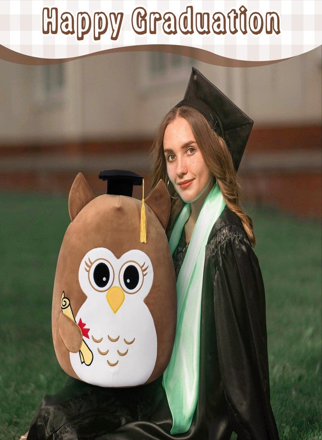 OurHonor Class of 2026 18in Graduation Stuffed Animal with Cap, Fringe & Diploma, Grad Gifts for Preschool, Kindergarten, Elementary, High School(Brown Owl) - Image 4