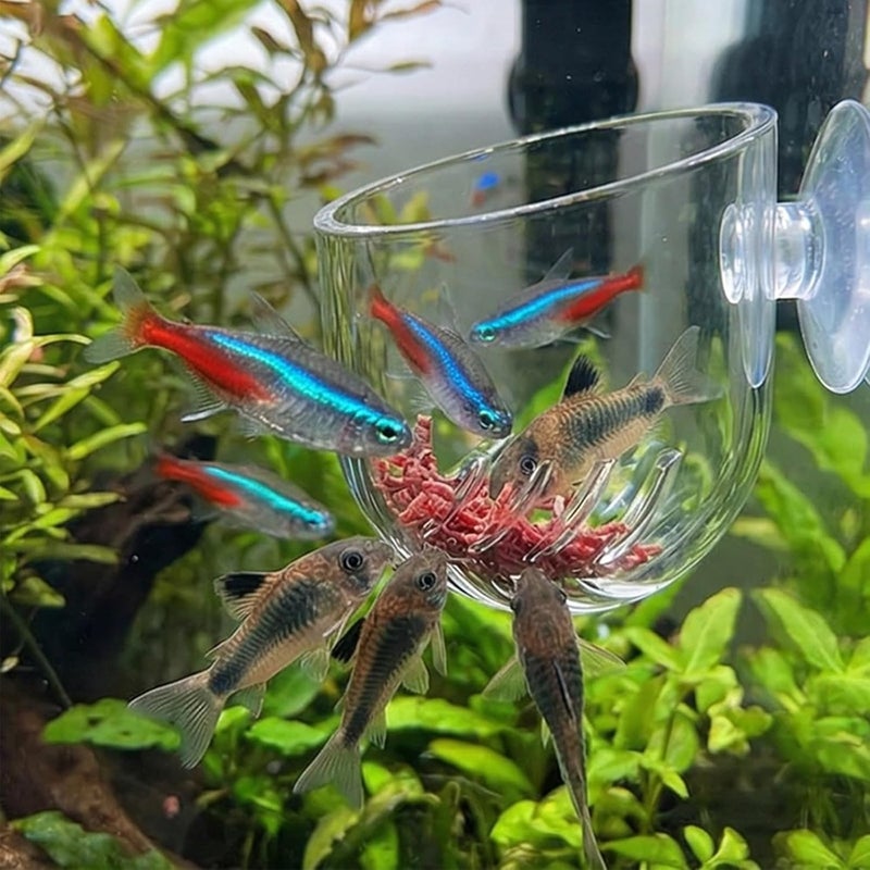 3PCS Transparents Plant Pots with Strong Suction Cups Aquariums Decoration Plant Cup Home Aquariums Aquascapes Fish Tanks Decoration Cup - Image 5