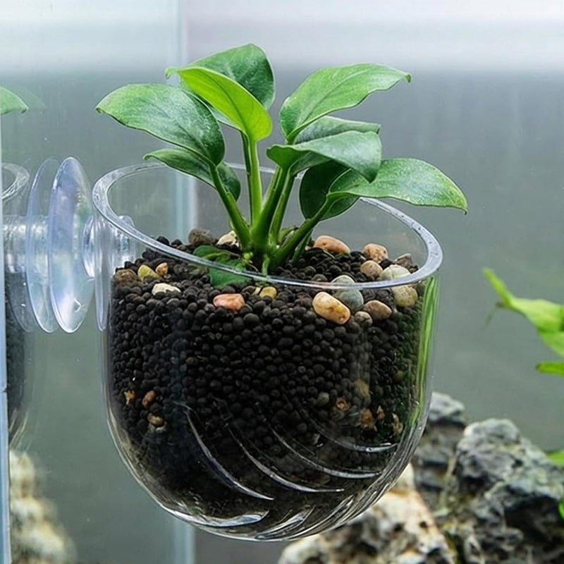 3PCS Transparents Plant Pots with Strong Suction Cups Aquariums Decoration Plant Cup Home Aquariums Aquascapes Fish Tanks Decoration Cup - Image 3
