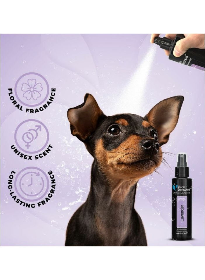 Groom Professional Lavender Cologne for Pets 100ml - Image 2