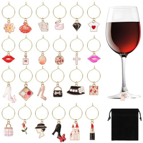 SANNIX 24pcs Wine Glass Charms - Funny Wine Glass Tags for Tasting Parties - Image 1