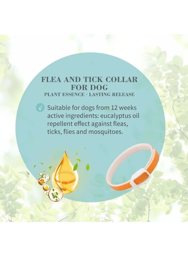 Bioline Flea and Tick Dog Collar 60cm[Flavor - Margosa & Sweet Orange] - Image 2