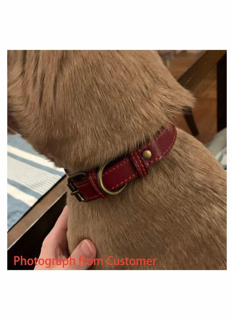 SYOSI Genuine Leather Dog Collar for Puppy Small Medium and Large Dog (Red XS) - Image 4