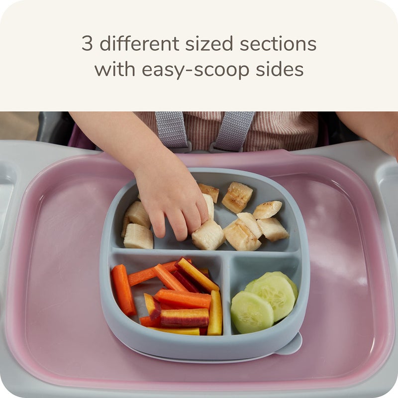 NUK for Nature Suction Plate and Lid, Leak-Proof Lid, Microwave, Freezer, & Top Rack Dishwasher Safe, BPA & Latex-Free, Pack of 1 - Image 3
