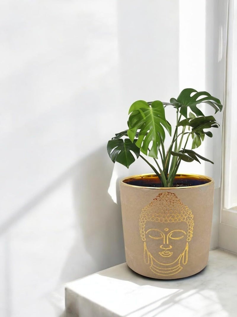 FOX & FERN Premium Ceramic Planter with Drainage-Hole for Vibrant Garden | Enhance The Ambiance of Your Home, Office or Garden (Dia. 5") (GA134B-007-GS) - Image 2