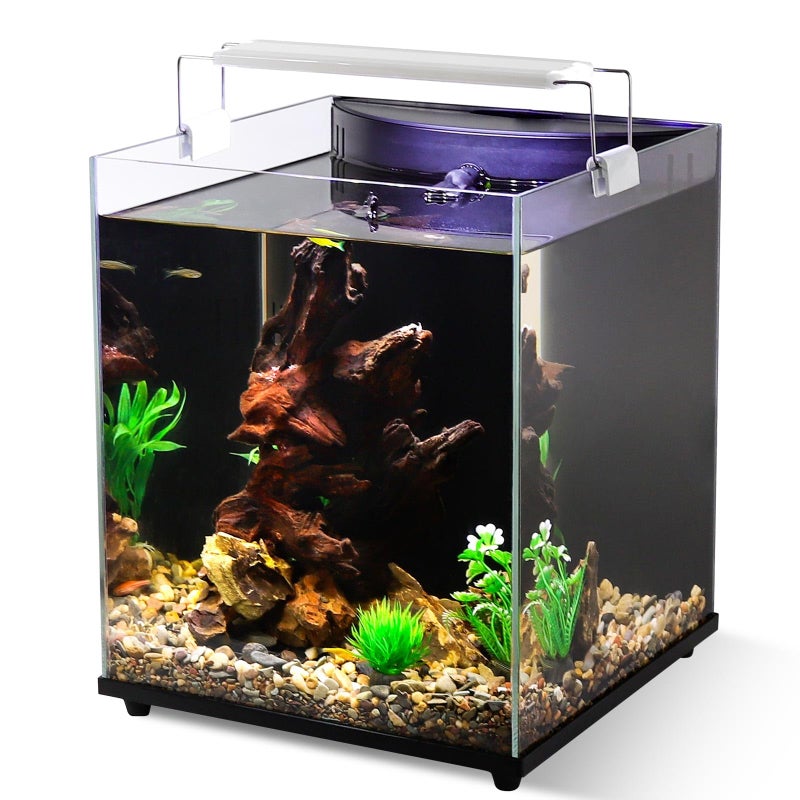 fishkeeper 5 Gallon Fish Tank Starter Kit, Small Aquarium with Filter and Adjustable 3 Color Lighting Self Cleaning Fish Bowl Rimless Aquarium for Beginners (Freshwater Fish Tank) - Image 1