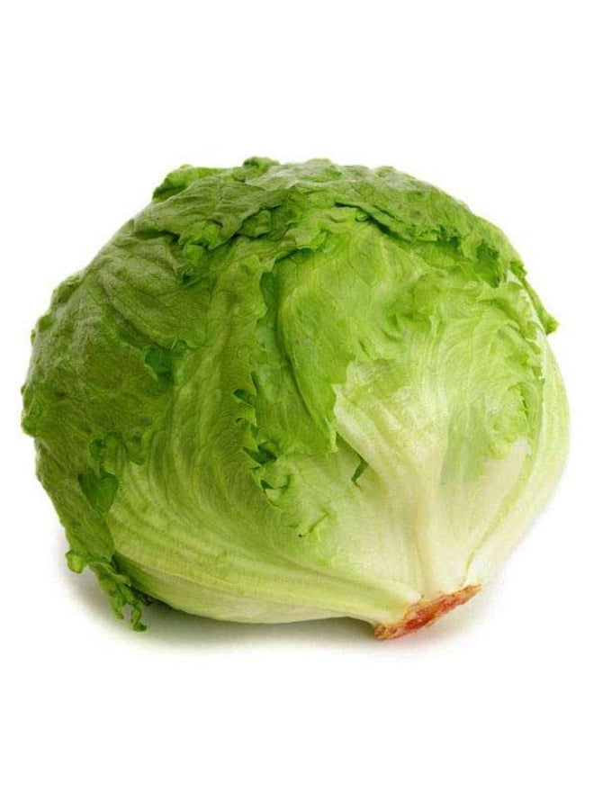 Lettuce Ice Berg Salista Vegetable Seeds