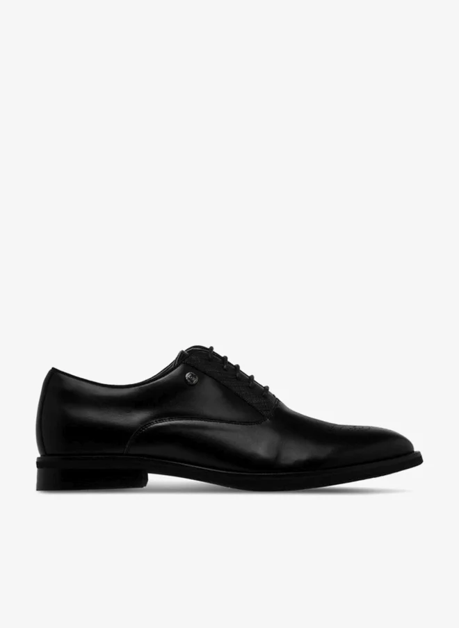 DUCHINI Men Lace-Up Oxford Shoes