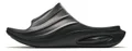 ANTA black