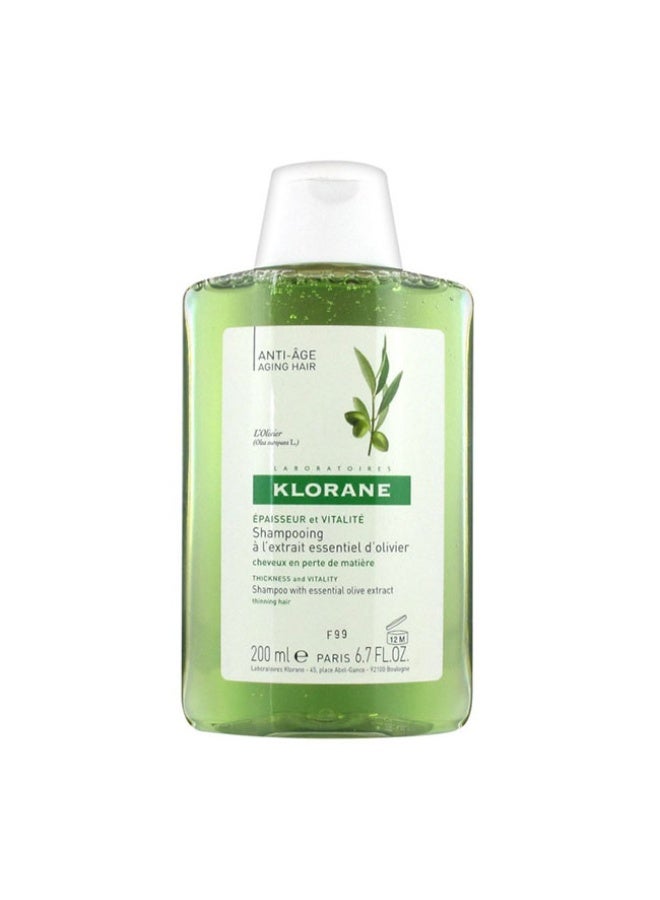 Klorane Olive Tree Shampoo 200ml - Image 1